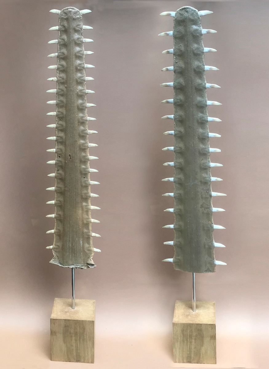 Two Sawfish Sostrums On A Pedestal, Objects Of Curiosity