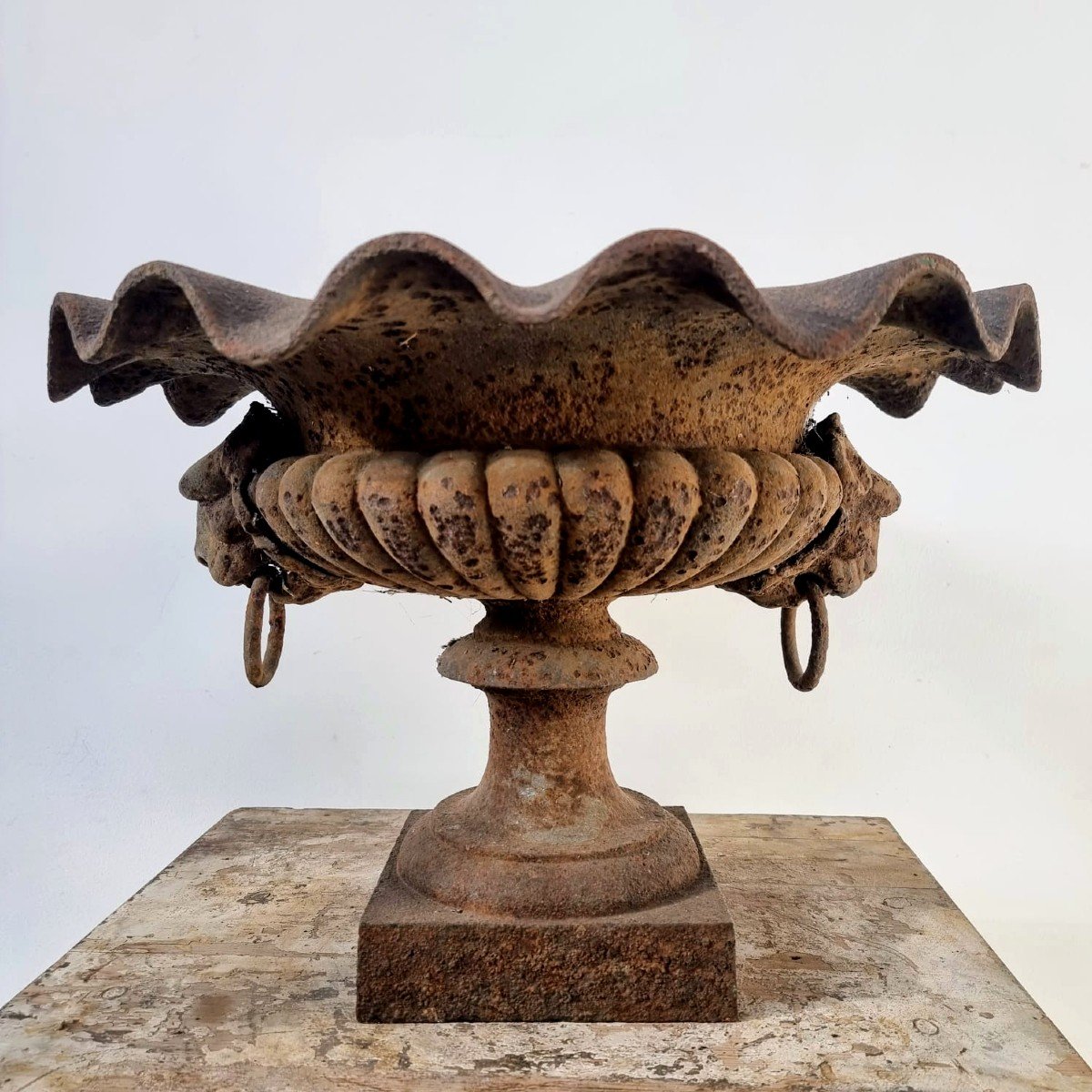 Paire de vasques en fonte de jardin-photo-4