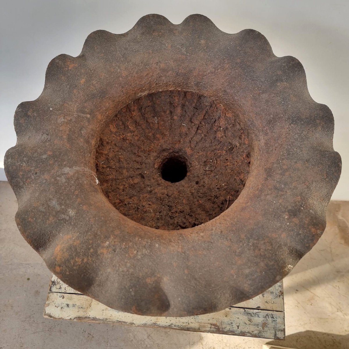 Paire de vasques en fonte de jardin-photo-3