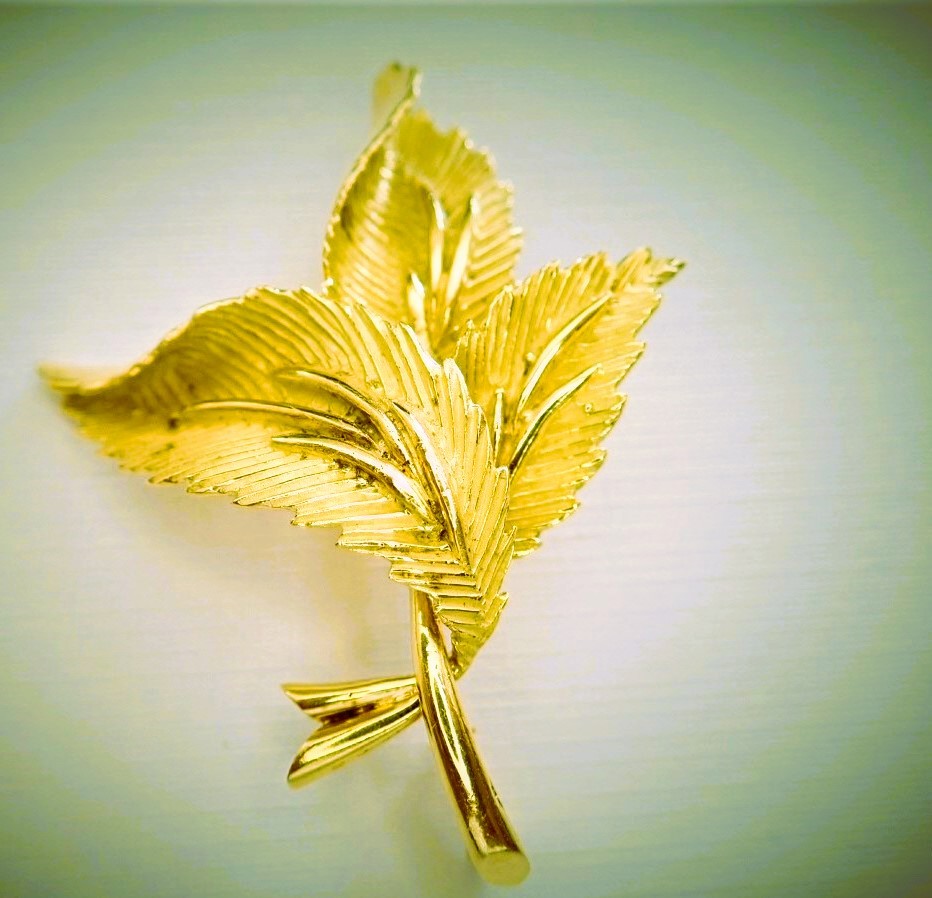 Broche or 18 carats