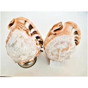 Set Of 2 Engraved Shells For Lamps