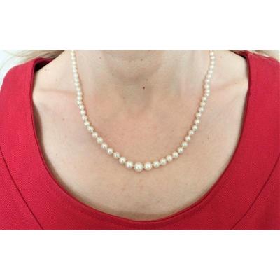 Collier Perles De Culture Fermoir Or 18 Carats