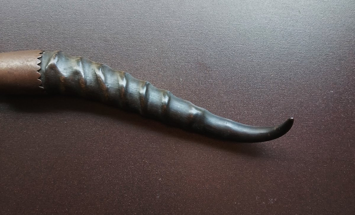  Hachette à pains de sucre.-photo-2