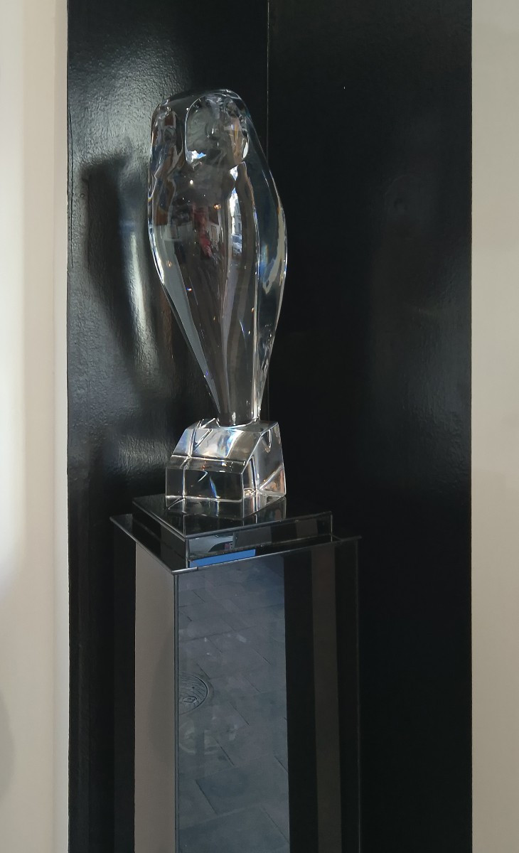 Robert Rigot's Large Owl.-photo-2