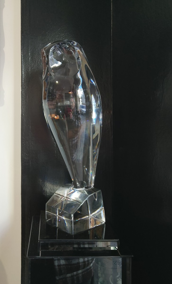 Robert Rigot's Large Owl.-photo-3