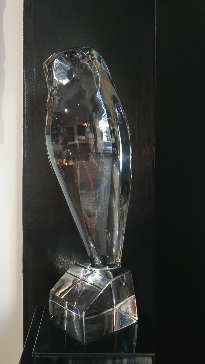 Robert Rigot's Large Owl.-photo-4