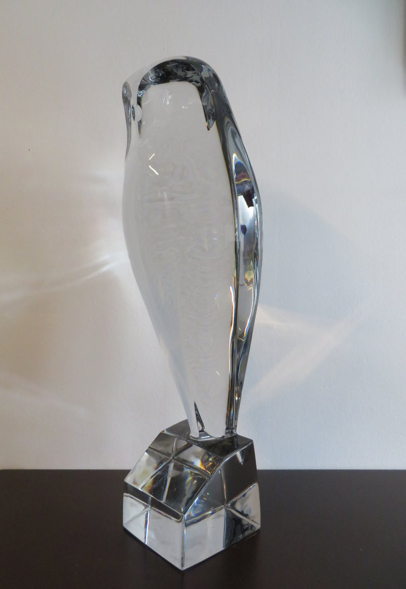 Robert Rigot's Large Owl.-photo-2