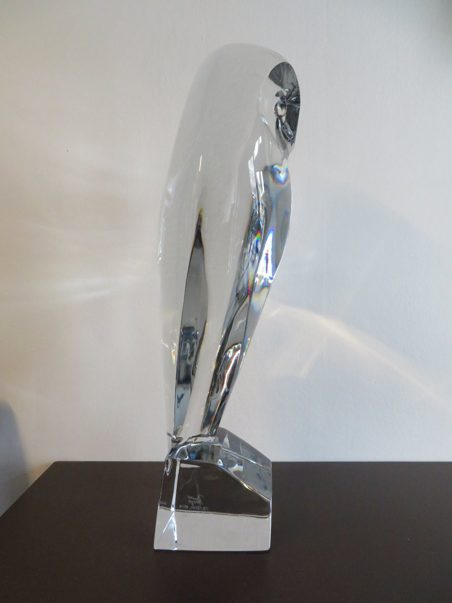 Robert Rigot's Large Owl.-photo-3