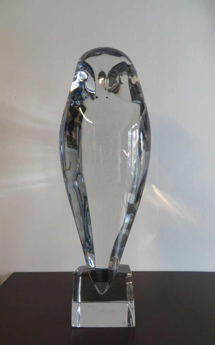 Robert Rigot's Large Owl.-photo-4