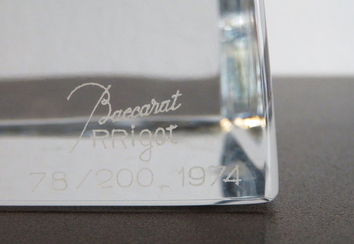 Robert Rigot's Large Owl.-photo-6