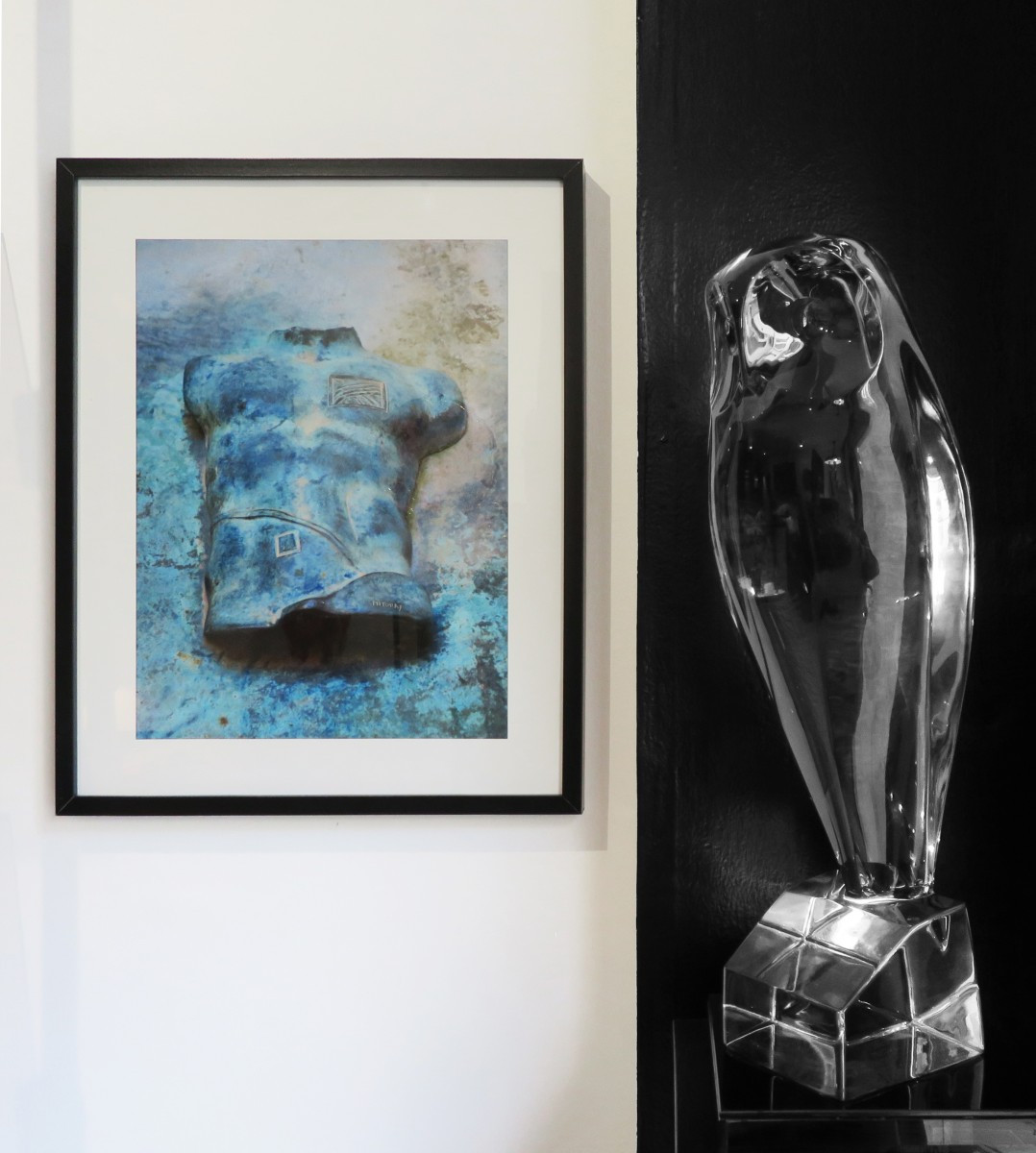 Robert Rigot's Large Owl.-photo-7