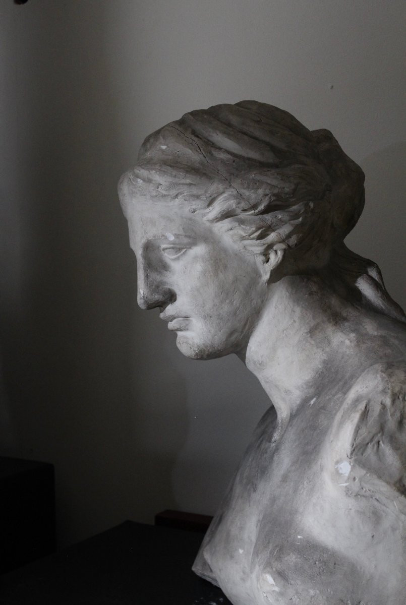 Academic Plaster Bust After The Venus De Milo-photo-3
