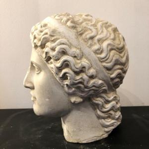 Plaster Head Representing 'hera', Academic Plaster