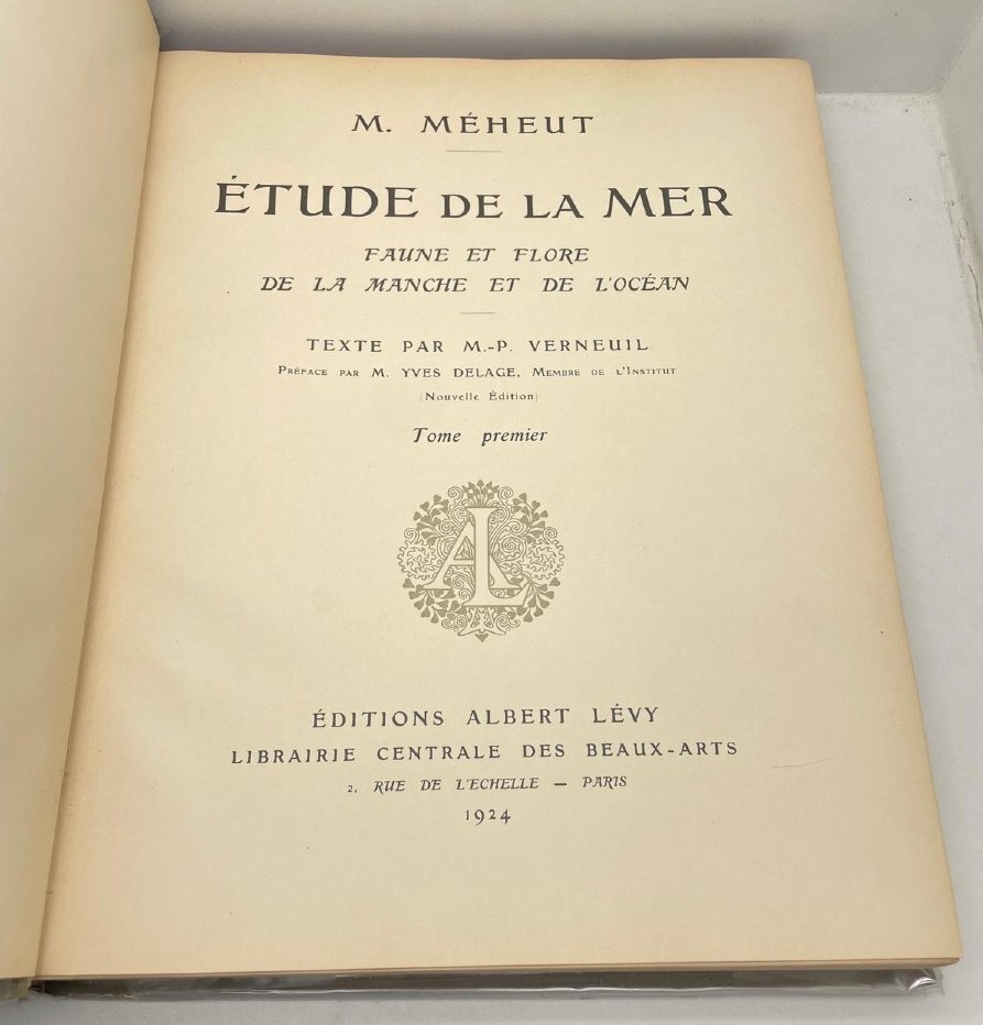 ETUDE DE LA MER -mathurin MEHEUT (1882-1958)-photo-2