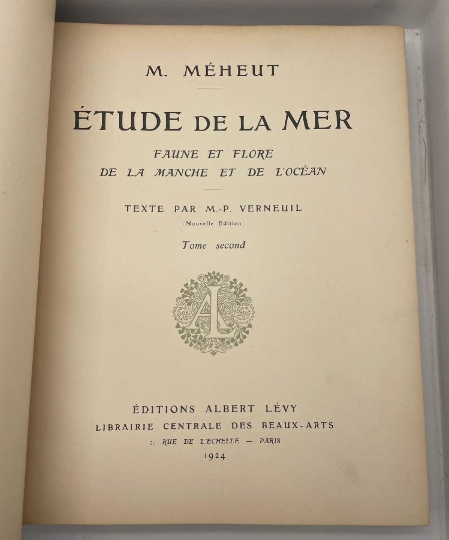 ETUDE DE LA MER -mathurin MEHEUT (1882-1958)-photo-3
