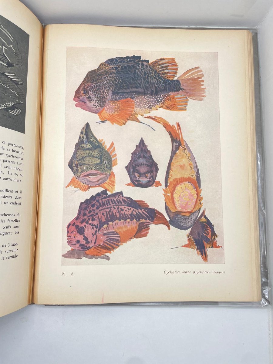 ETUDE DE LA MER -mathurin MEHEUT (1882-1958)-photo-2