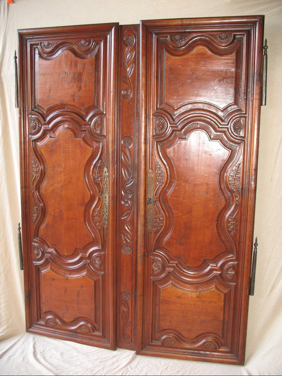 Pair Of Regency Period Paneled Doors In 18th Century Fruitwood-photo-2