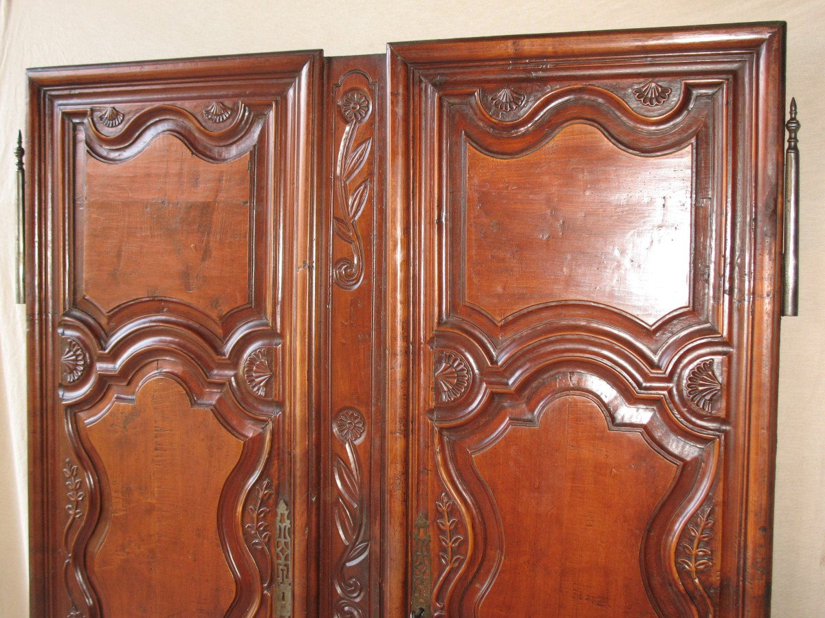 Pair Of Regency Period Paneled Doors In 18th Century Fruitwood-photo-3