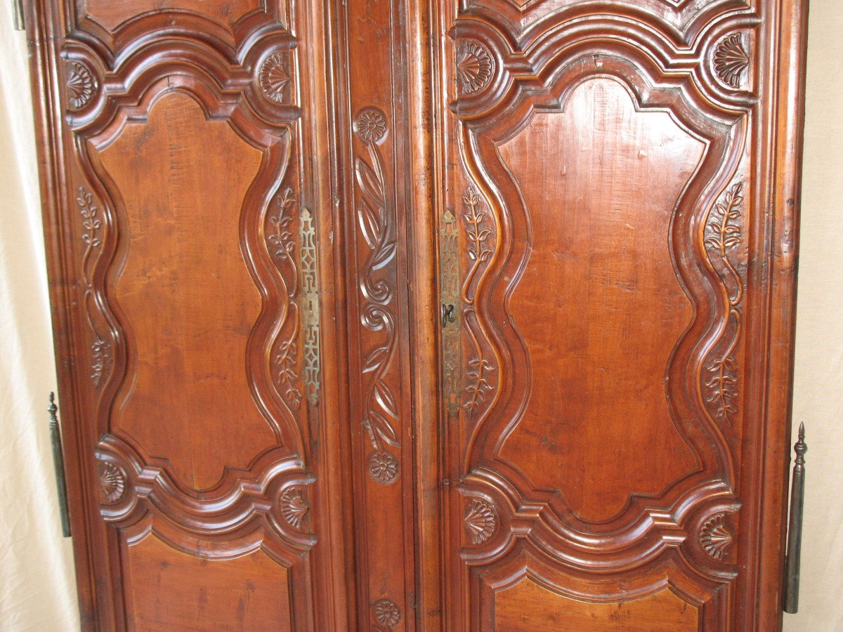 Pair Of Regency Period Paneled Doors In 18th Century Fruitwood-photo-4