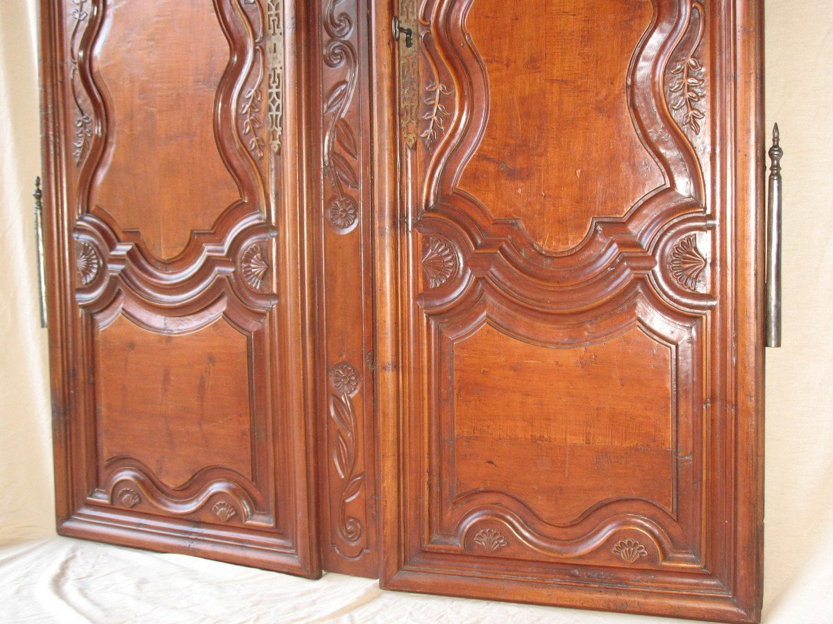 Pair Of Regency Period Paneled Doors In 18th Century Fruitwood-photo-1
