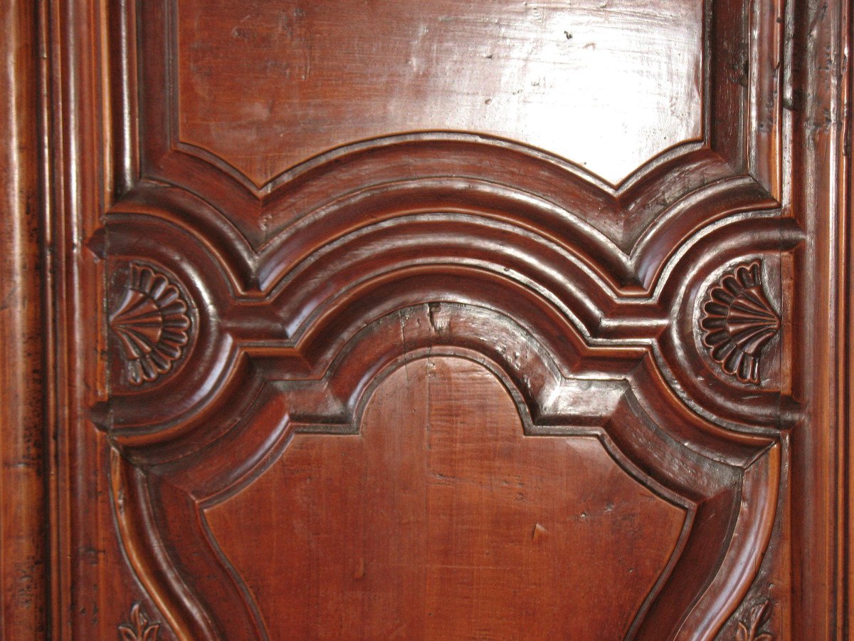 Pair Of Regency Period Paneled Doors In 18th Century Fruitwood-photo-2