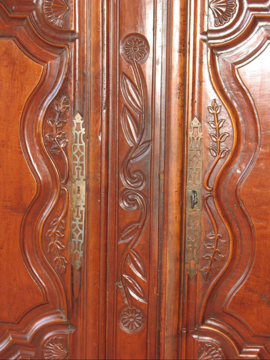 Pair Of Regency Period Paneled Doors In 18th Century Fruitwood-photo-3