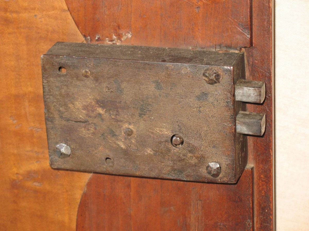 Pair Of Regency Period Paneled Doors In 18th Century Fruitwood-photo-6