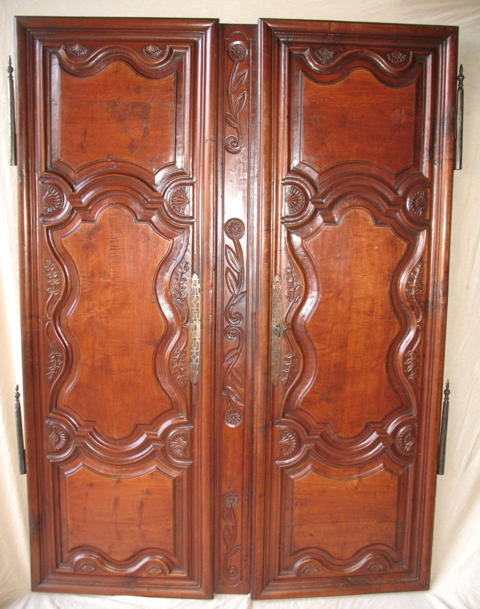 Pair Of Regency Period Paneled Doors In 18th Century Fruitwood