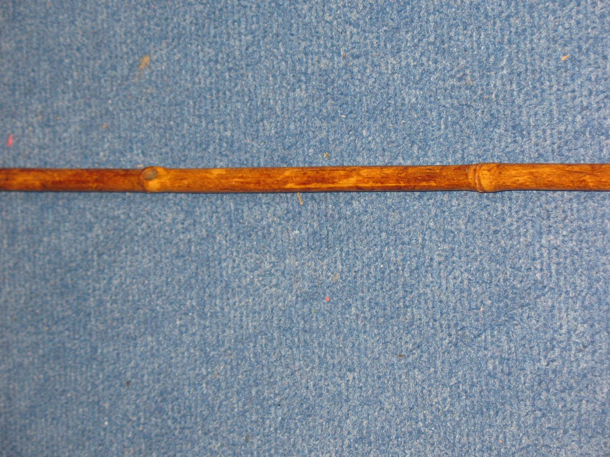 Cane With Knob In The Shape Of A Greyhound Dog's Head, Late 19th Century-photo-1