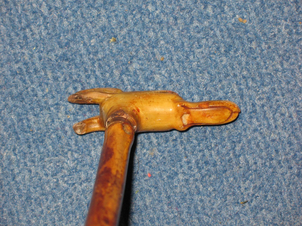 Cane With Knob In The Shape Of A Greyhound Dog's Head, Late 19th Century-photo-4