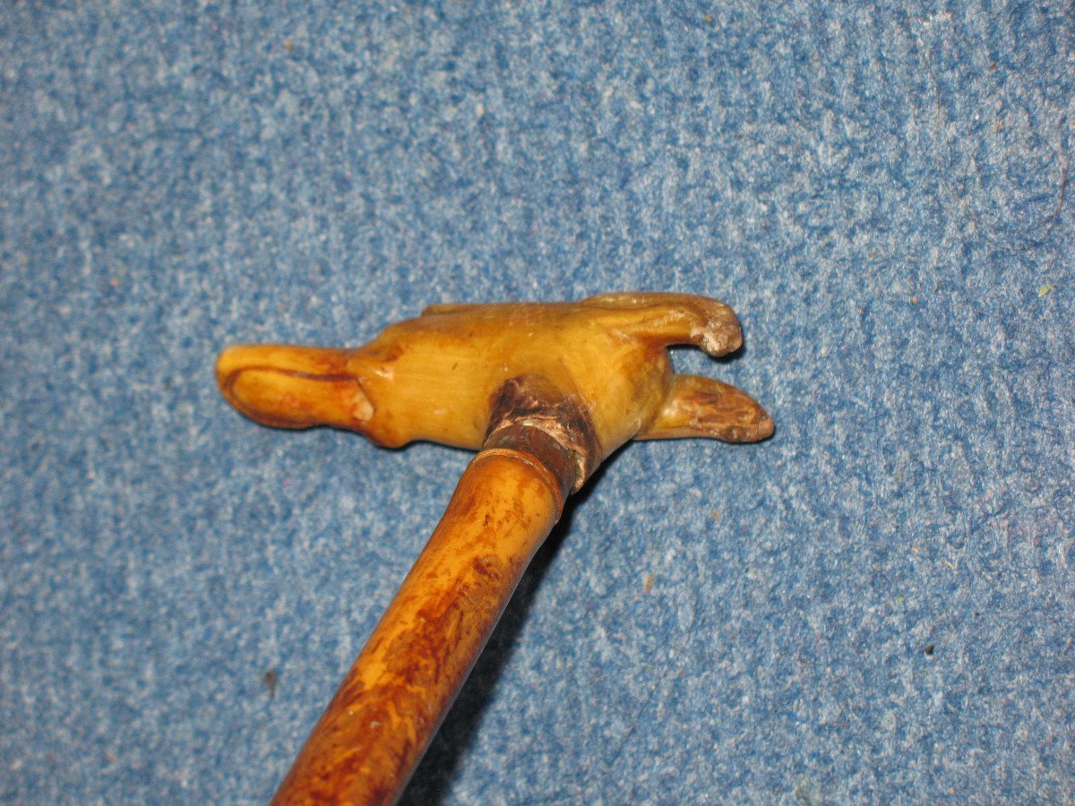 Cane With Knob In The Shape Of A Greyhound Dog's Head, Late 19th Century-photo-5