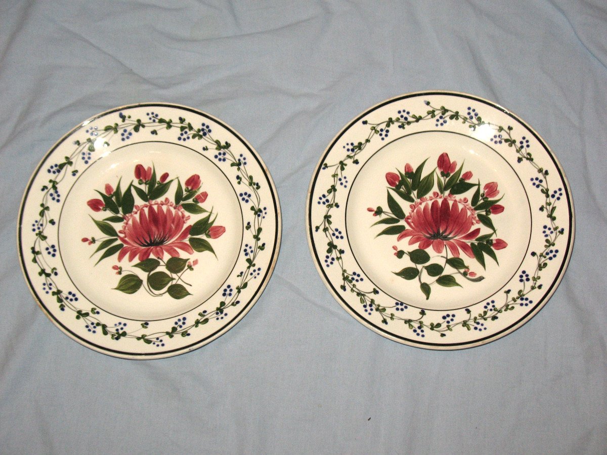 Pair Of Creil And Montereau Earthenware Plates From The 19th Century With Floral Decoration-photo-1