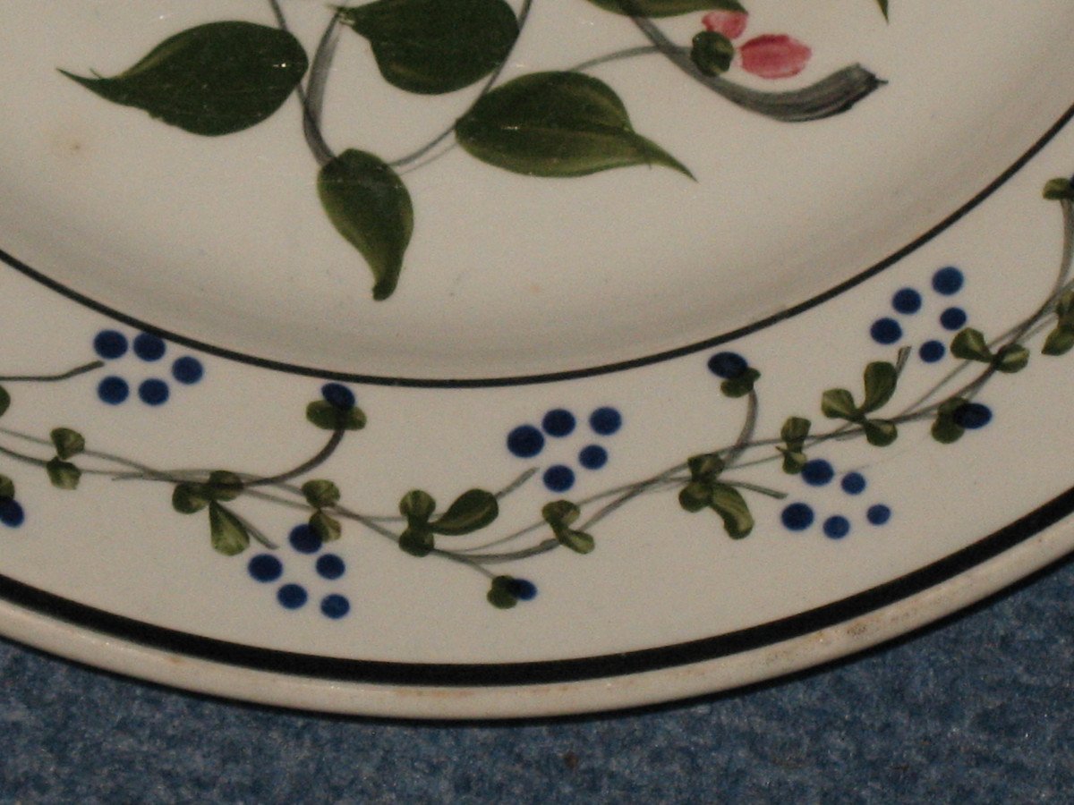 Pair Of Creil And Montereau Earthenware Plates From The 19th Century With Floral Decoration-photo-2