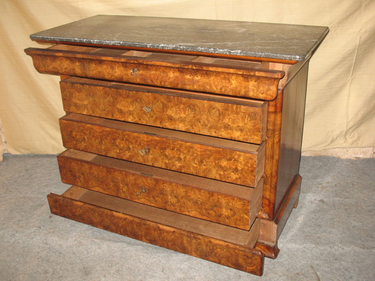 Restoration Period Chest Of Drawers In Walnut And Burr Walnut With 5 Drawers, 19th Century-photo-6