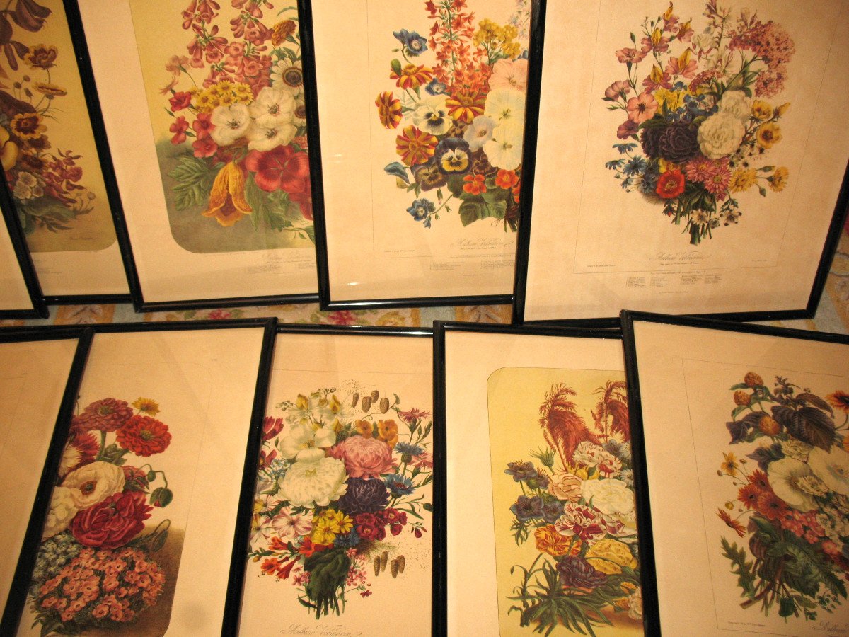Planches lithographiées Album Vilmorin bouquets de fleurs peintes par Elisa Champin 12 planches-photo-3