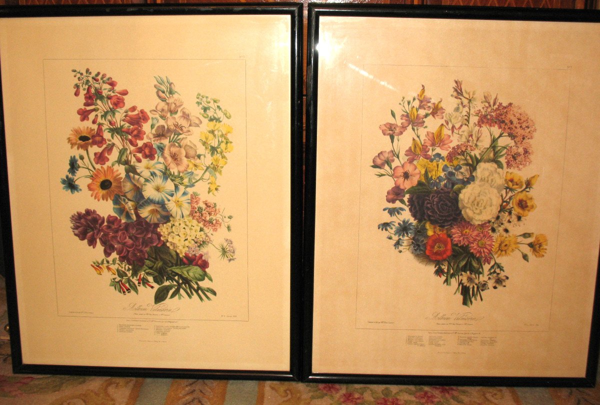 Planches lithographiées Album Vilmorin bouquets de fleurs peintes par Elisa Champin 12 planches-photo-2