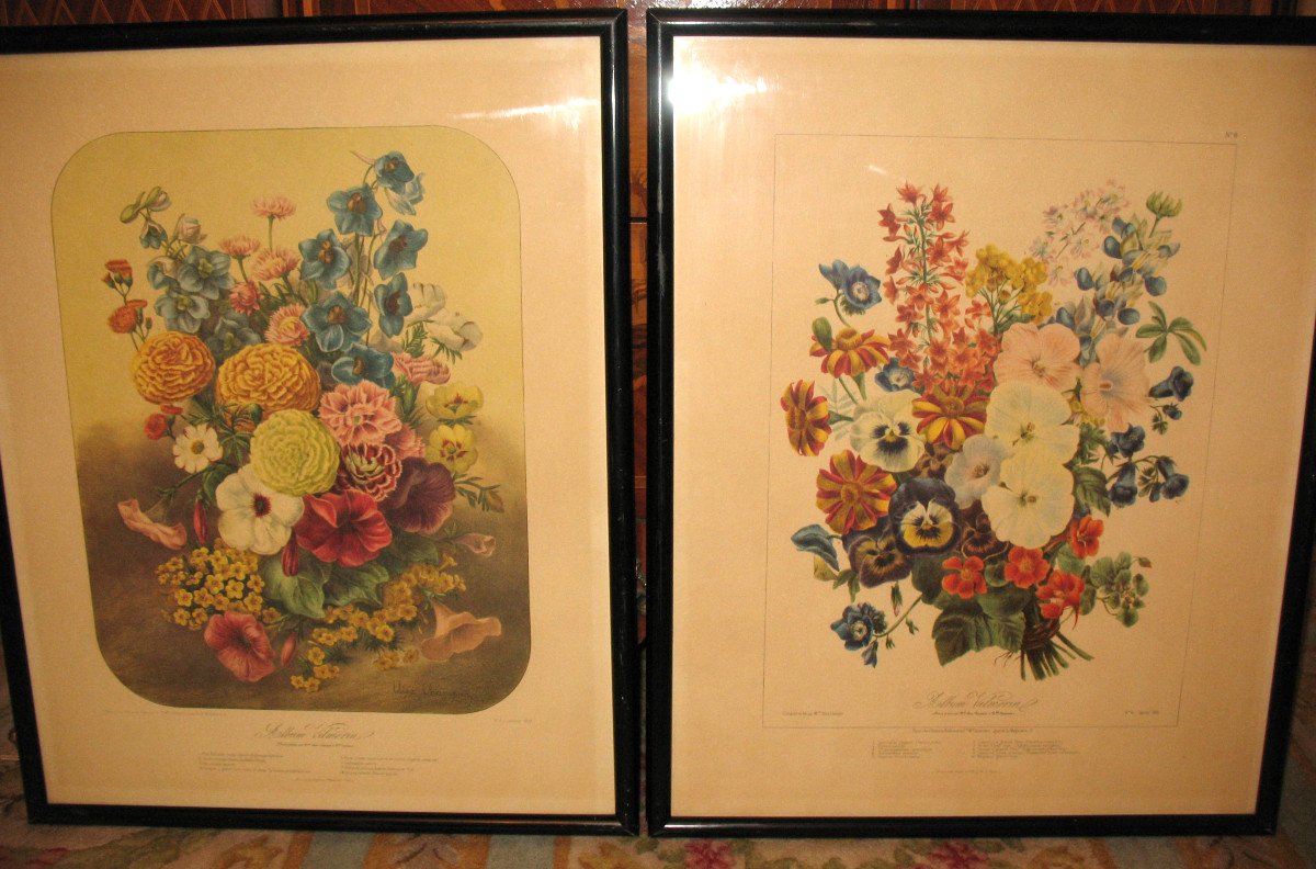 Planches lithographiées Album Vilmorin bouquets de fleurs peintes par Elisa Champin 12 planches-photo-4