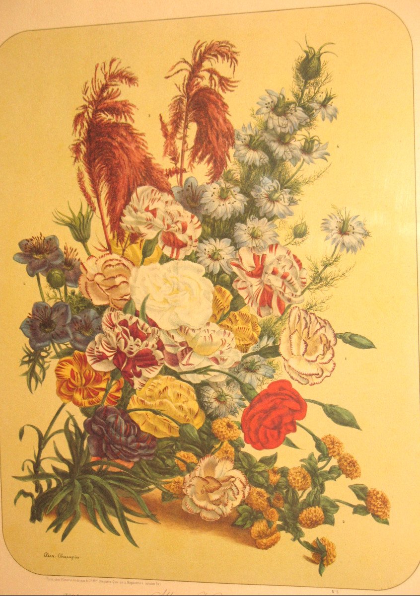 Planches lithographiées Album Vilmorin bouquets de fleurs peintes par Elisa Champin 12 planches-photo-7