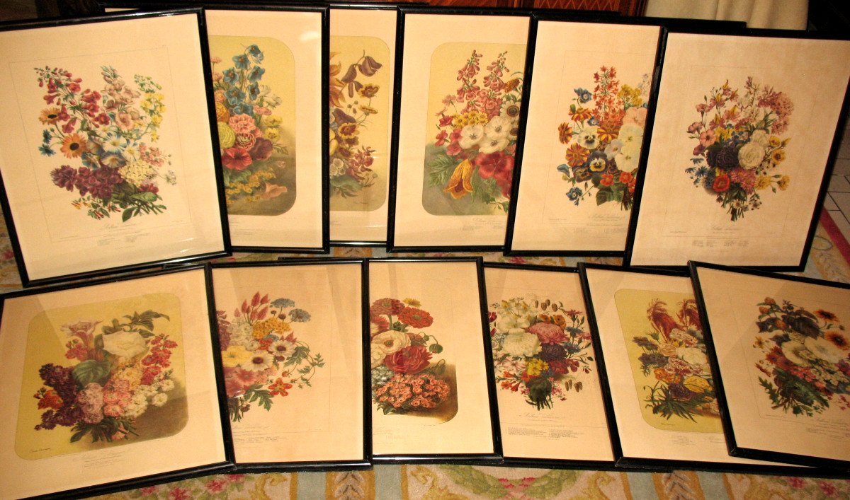 Planches lithographiées Album Vilmorin bouquets de fleurs peintes par Elisa Champin 12 planches-photo-8