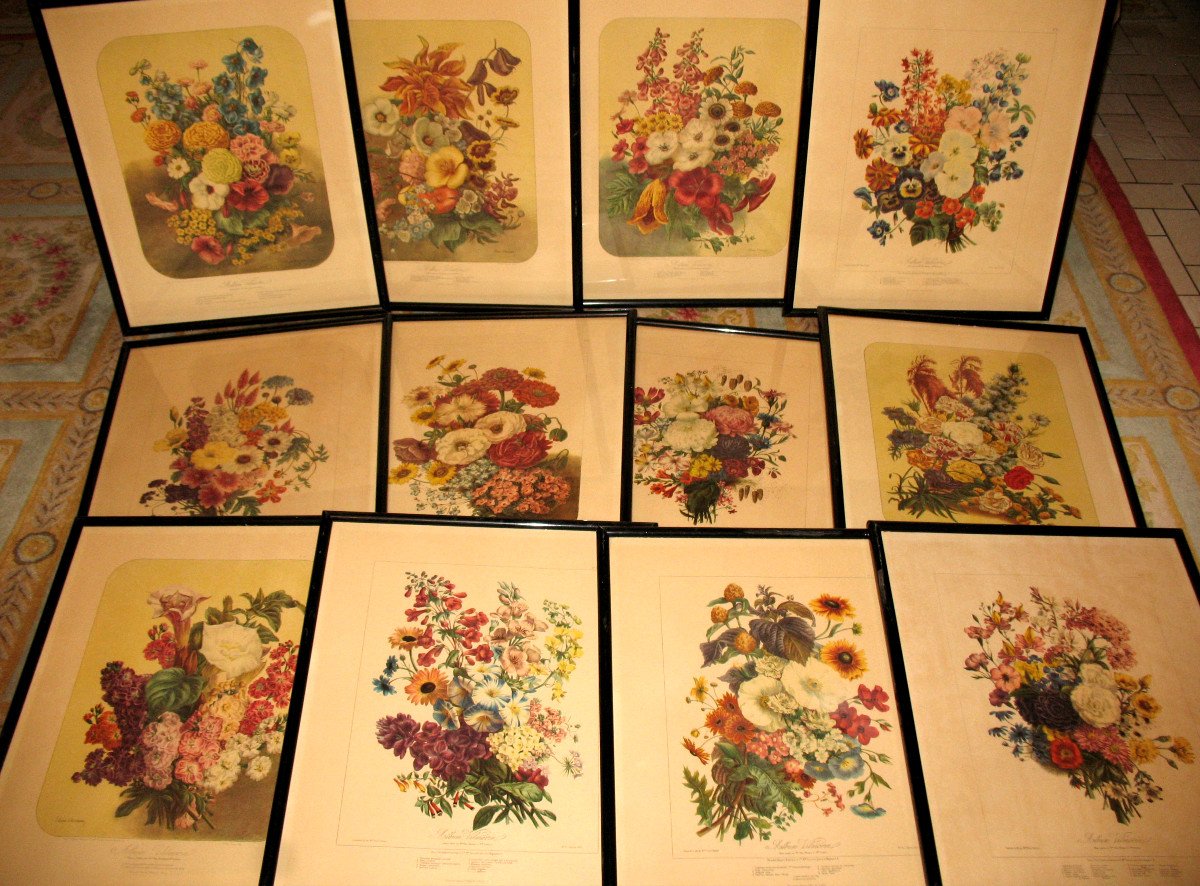 Planches lithographiées Album Vilmorin bouquets de fleurs peintes par Elisa Champin 12 planches