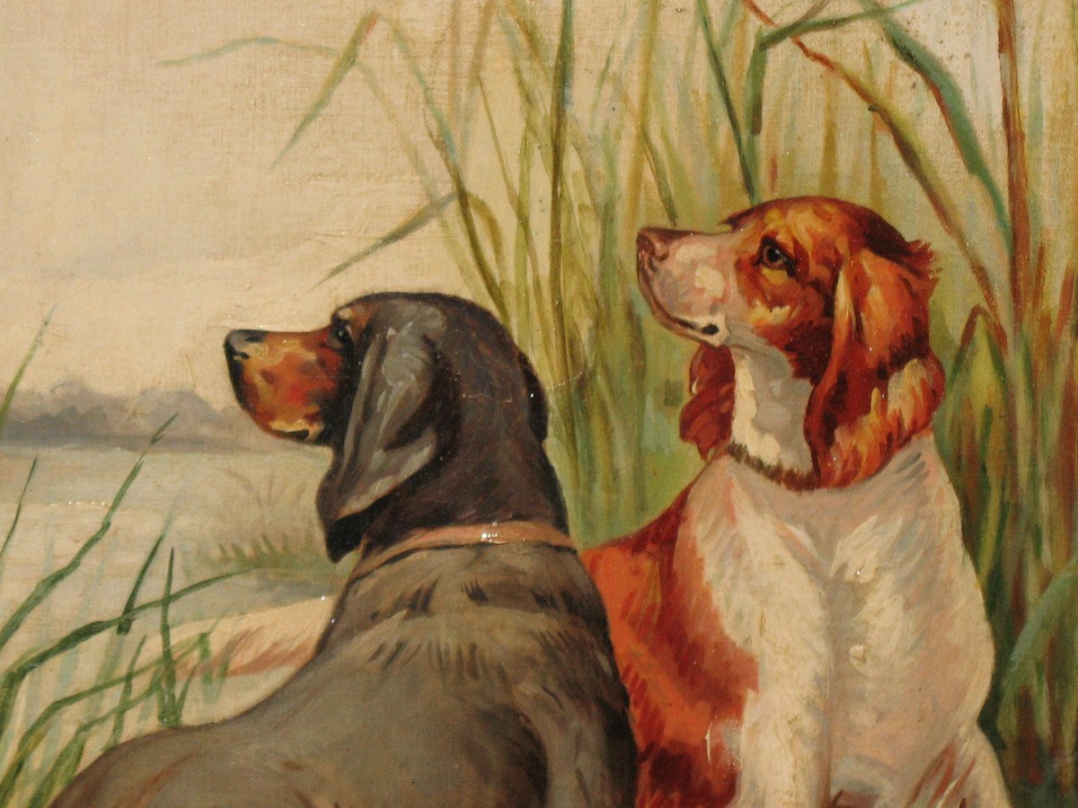 Chiens de chasse épagneuls dans les marais huile sur panneau signée-photo-4
