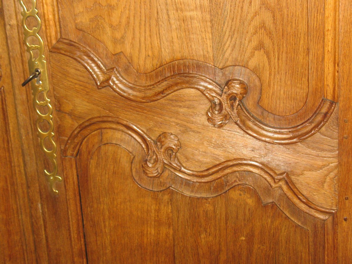 Pair Of Louis XV Style Woodwork Doors In Carved Oak, Early 19th Century-photo-4