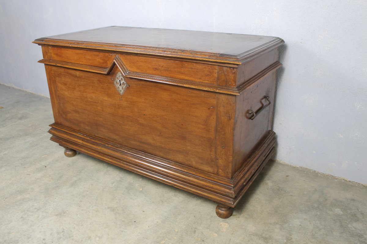 Louis XIV Period Walnut Chest, Périgord Origin, 18th Century-photo-2