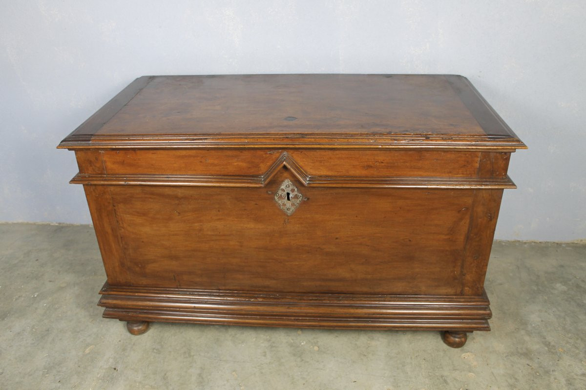 Louis XIV Period Walnut Chest, Périgord Origin, 18th Century-photo-3