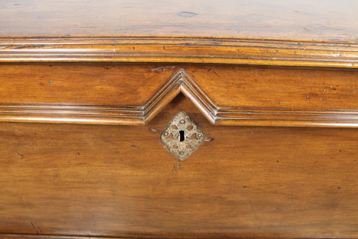 Louis XIV Period Walnut Chest, Périgord Origin, 18th Century-photo-3