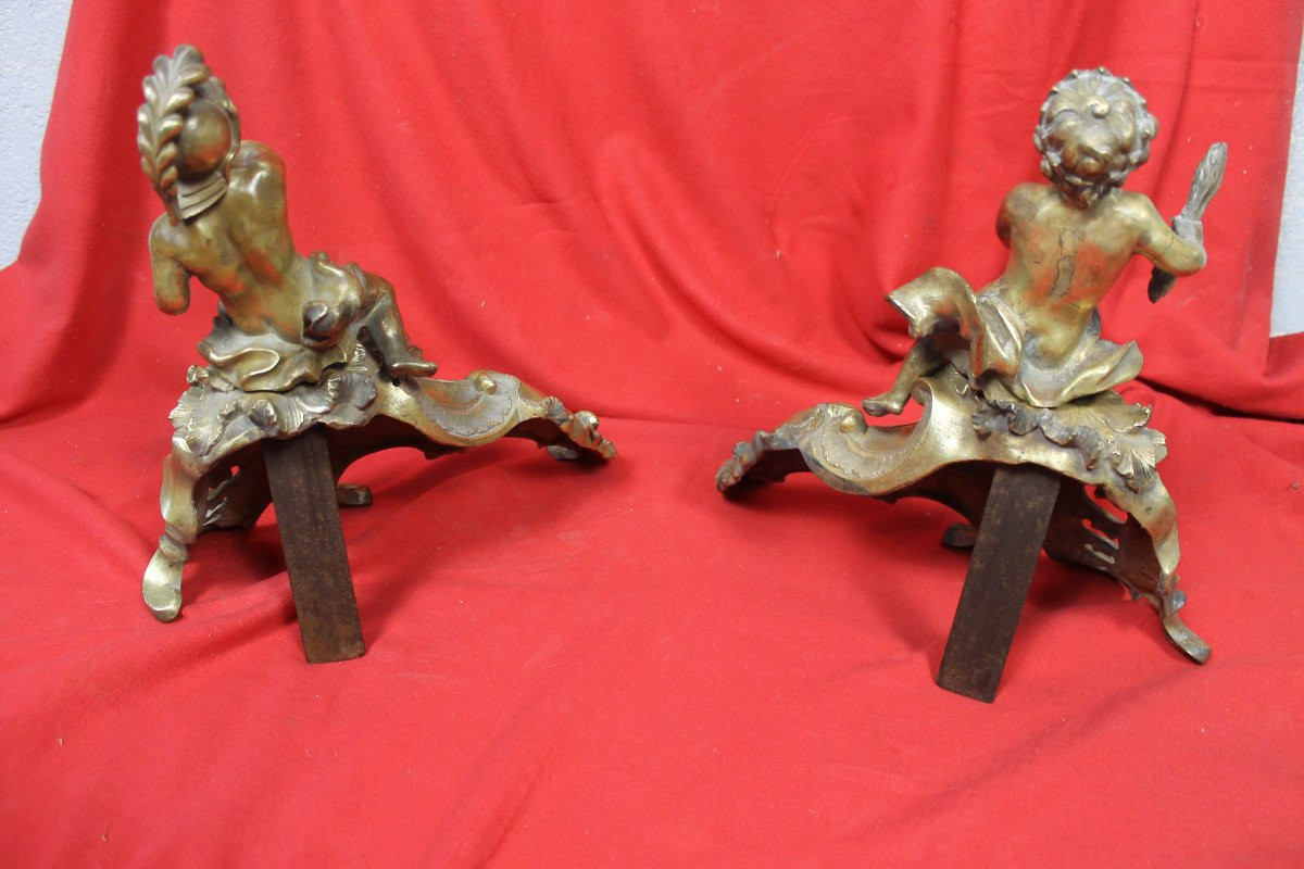 Pair Of Louis XV Style Bronze Andirons, 19th Century-photo-5