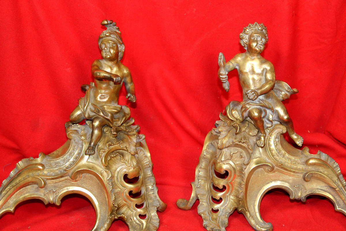 Pair Of Louis XV Style Bronze Andirons, 19th Century