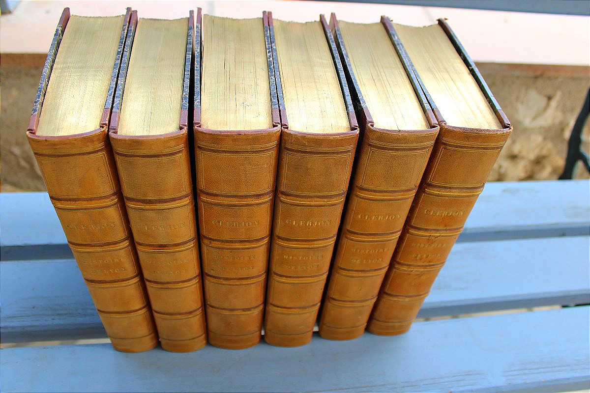 Histoire de Lyon par P. Clerion en 6 tomes avec 54 planches HT reliure dos cuir édition de 1829-photo-2