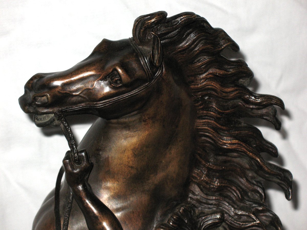 Marly Horse In Bronze After G. Coustou-photo-2