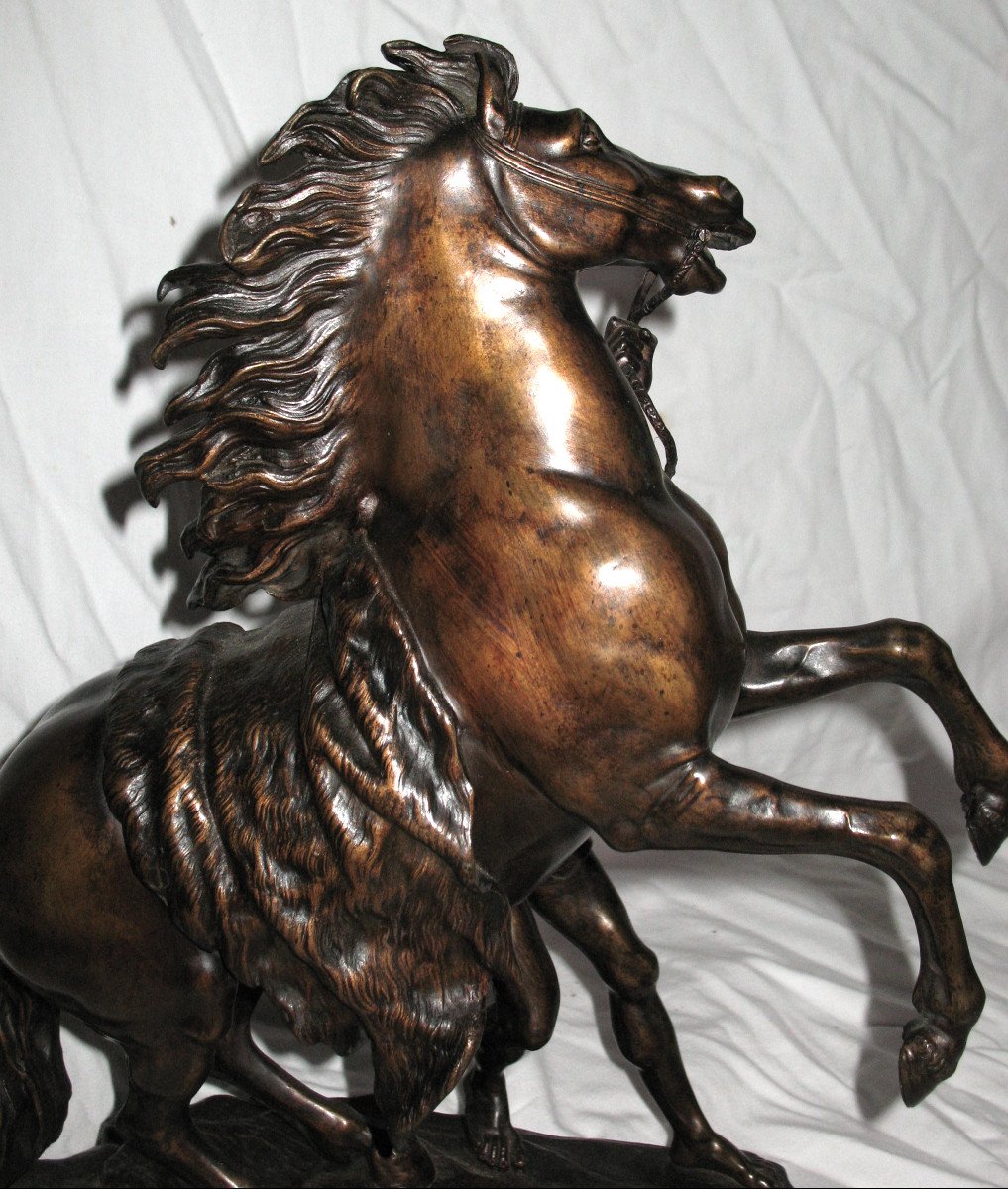 Marly Horse In Bronze After G. Coustou-photo-5